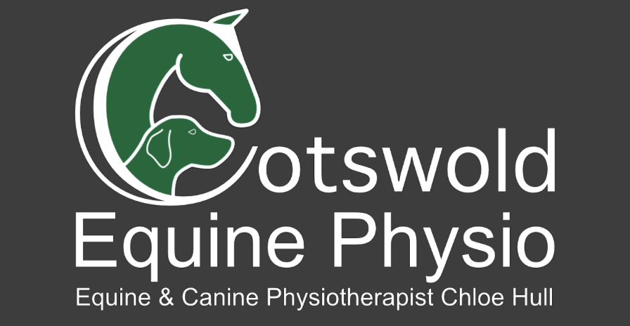 NAF Logo - CCR Equestrian Sponsor
