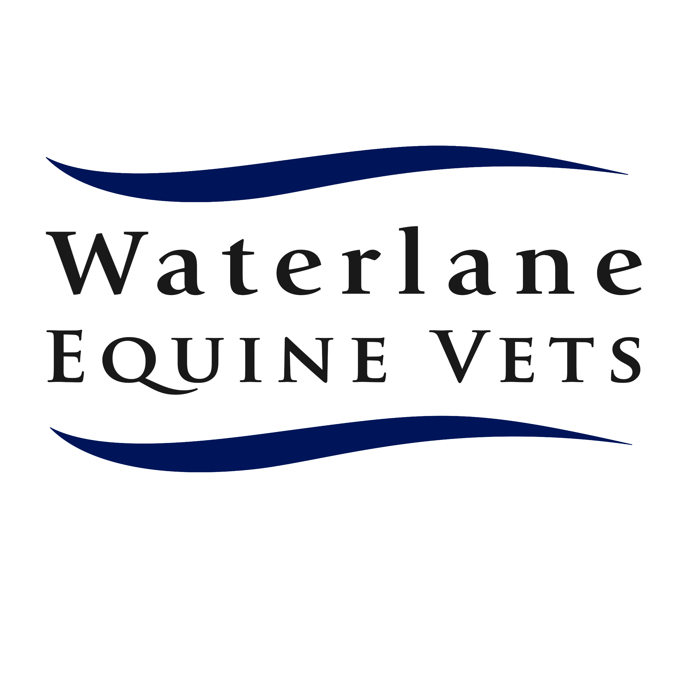 NAF Logo - CCR Equestrian Sponsor