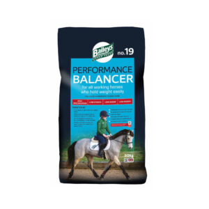 Baileys No 19 Performance Balancer