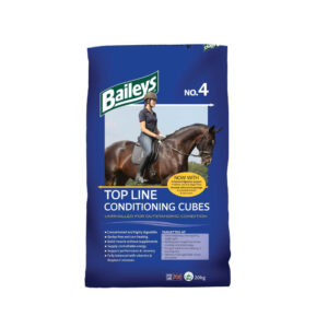 Baileys No 4 Top Line Conditioning Cubes