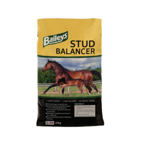 Baileys Stud Balancer