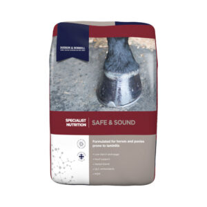 Dodson & Horrell Safe & Sound