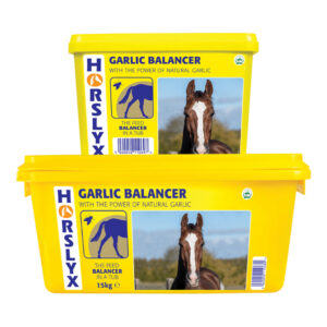 Horslyx Garlic Field Lick 15kg
