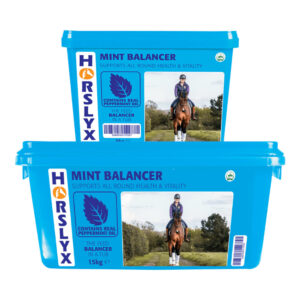 Horslyx Mint Field Lick 15kg