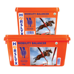 Horslyx Mobility Field Lick 5kg