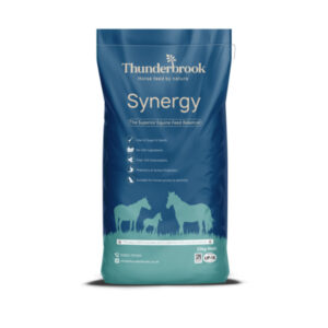 Thunderbrook Synergy